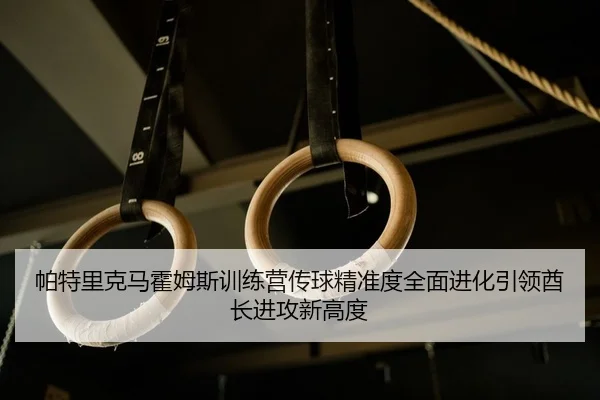 pa-te-li-ke-ma-huo-mu-si-xun-lian-ying-chuan-qiu-jing-zhun-du-quan-mian-jin-hua-yin-ling-qiu-zhang-jin-gong-xin-gao-du-2-568.jpg